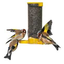 Wholesale ???? Nature's Market Natures Market Wild Bird Food Niger Seed 900g BFNIGER2 ⭐ -Everbuild shop unnamed file 100