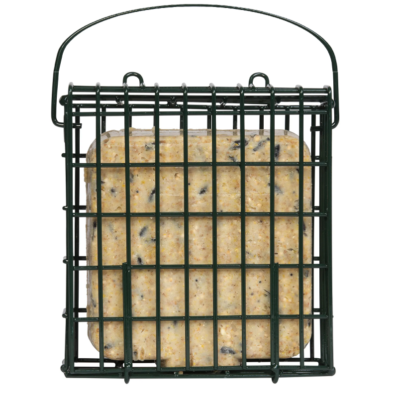 Natures Market Wild Bird Food Nut Peanut Suet Cake 300g BFSC01 Best reviews of ???? Nature's Market Natures Market Wild Bird Food Nut Peanut Suet Cake 300g BFSC01 ✨ -Everbuild shop unnamed file 102