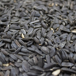 Budget ???? Nature's Market Natures Market Wild Bird Food Whole Sunflower Seed 900g BFWF04 ???? -Everbuild shop unnamed file 110