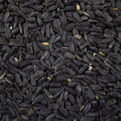 Budget ???? Nature's Market Natures Market Wild Bird Food Whole Sunflower Seed 900g BFWF04 ???? -Everbuild shop unnamed file 111