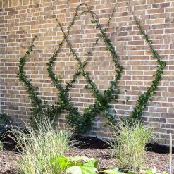 Cheapest ???? Marksman Garden Wire Green Plastic ???? Coated Multi Purpose 3mm 5m 70240C ???? 2 Cheapest ???? Marksman Garden Wire Green Plastic ???? Coated Multi Purpose 3mm 5m 70240C ???? -Everbuild shop unnamed file 1122