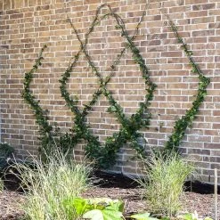 Cheapest 🌟 Marksman Garden Wire Green Plastic 🧥 Coated Multi Purpose 3mm 5m 70240C 🤩 -Everbuild shop unnamed file 1122