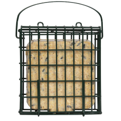 Best Sale ⌛ Nature's Market Natures Market Wild Bird Food Wild Berries Suet Cake 300g BFSC04 ???? -Everbuild shop unnamed file 113