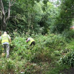 Best deal ✨ Silverline Tools Silverline Garden Machete Inc Sheath Weed Slasher GT56 ???? 2 Best deal ✨ Silverline Tools Silverline Garden Machete Inc Sheath Weed Slasher GT56 ???? -Everbuild shop unnamed file 1206