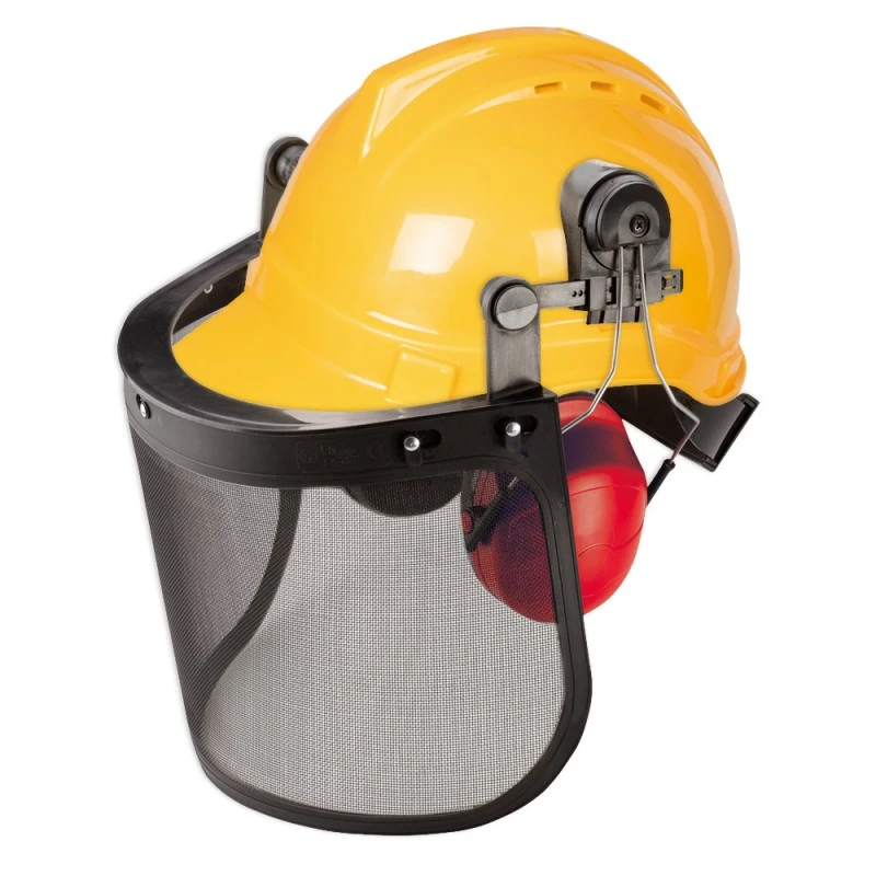 Outlet π Silverline Tools Forestry Helmet Ear Defenders Mesh Face Shield 140873 β 1 Outlet π Silverline Tools Forestry Helmet Ear Defenders Mesh Face Shield 140873 β