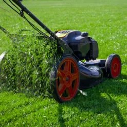 Deals ๐งจ Doff Multi Purpose Lawn Grass Seed PROCOAT FLD500DOF 500g ๐งจ 16 Deals ๐งจ Doff Multi Purpose Lawn Grass Seed PROCOAT FLD500DOF 500g ๐งจ -Everbuild shop unnamed file 1523