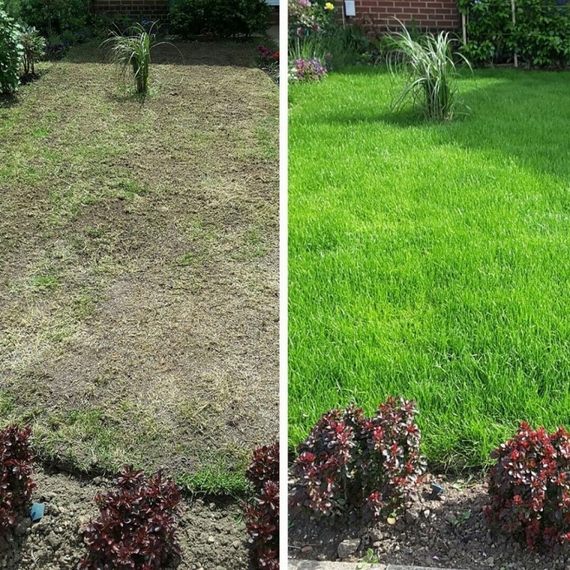 Promo ???? Doff Green Fingers Organic Green Up Lawn Grass Feed 1.25kg F-LG-A25-DGF ???? 2 Promo ???? Doff Green Fingers Organic Green Up Lawn Grass Feed 1.25kg F-LG-A25-DGF ???? - Image 2
