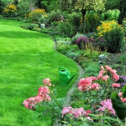 Promo ???? Doff Green Fingers Organic Green Up Lawn Grass Feed 1.25kg F-LG-A25-DGF ???? 8 Promo ???? Doff Green Fingers Organic Green Up Lawn Grass Feed 1.25kg F-LG-A25-DGF ???? -Everbuild shop unnamed file 1609