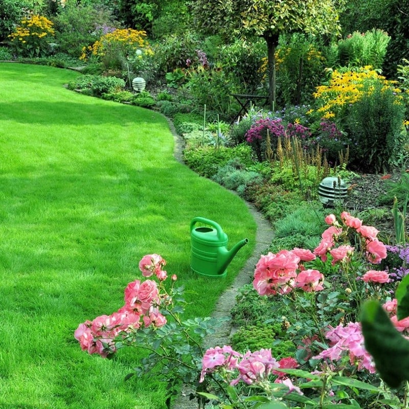 Promo ???? Doff Green Fingers Organic Green Up Lawn Grass Feed 1.25kg F-LG-A25-DGF ???? 3 Promo ???? Doff Green Fingers Organic Green Up Lawn Grass Feed 1.25kg F-LG-A25-DGF ???? - Image 3