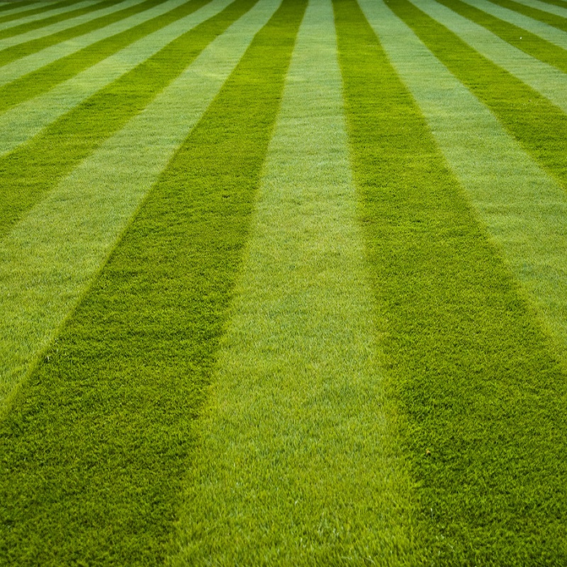 Promo ???? Doff Green Fingers Organic Green Up Lawn Grass Feed 1.25kg F-LG-A25-DGF ???? 4 Promo ???? Doff Green Fingers Organic Green Up Lawn Grass Feed 1.25kg F-LG-A25-DGF ???? - Image 4
