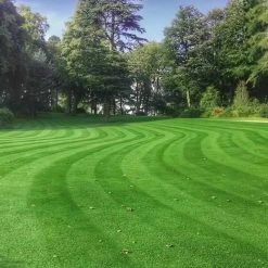 Top 10 ✔️ Doff Hard Wearing Lawn Grass Seed With PROCOAT FLBA00DOF 1kg 😀 -Everbuild shop unnamed file 1641