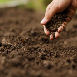 Cheapest ⭐ Doff Multi Purpose Lawn Grass Seed PROCOAT FLDA00DOF01 1kg ???? 3 Cheapest ⭐ Doff Multi Purpose Lawn Grass Seed PROCOAT FLDA00DOF01 1kg ???? -Everbuild shop unnamed file 1667