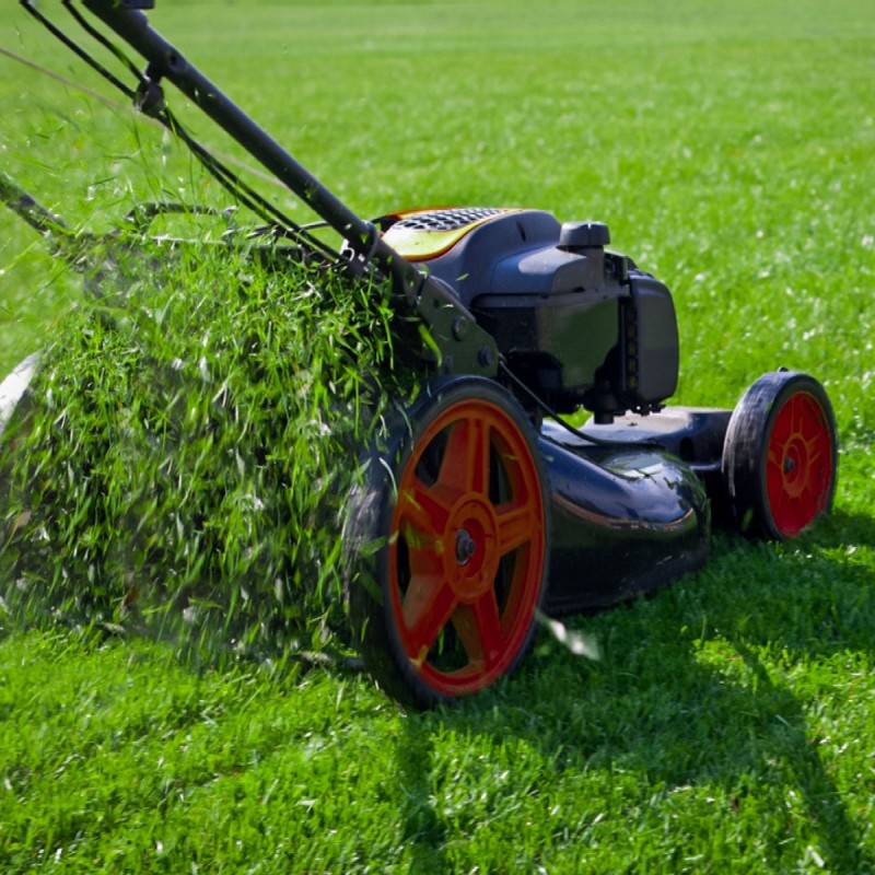 Doff Power Up Superfast Lawn Grass Seed NITRO-COAT 1kg F-LQ-A00-DPU Hot Sale ✔️ Doff Power Up Superfast Lawn Grass Seed NITRO-COAT 1kg F-LQ-A00-DPU ⭐ -Everbuild shop unnamed file 1690