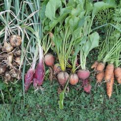 Flash Sale ???? Doff Bonemeal Slow Release Garden Plant Fertiliser 2kg FMAB00DOF01 ✔️ 3 Flash Sale ???? Doff Bonemeal Slow Release Garden Plant Fertiliser 2kg FMAB00DOF01 ✔️ -Everbuild shop unnamed file 1771