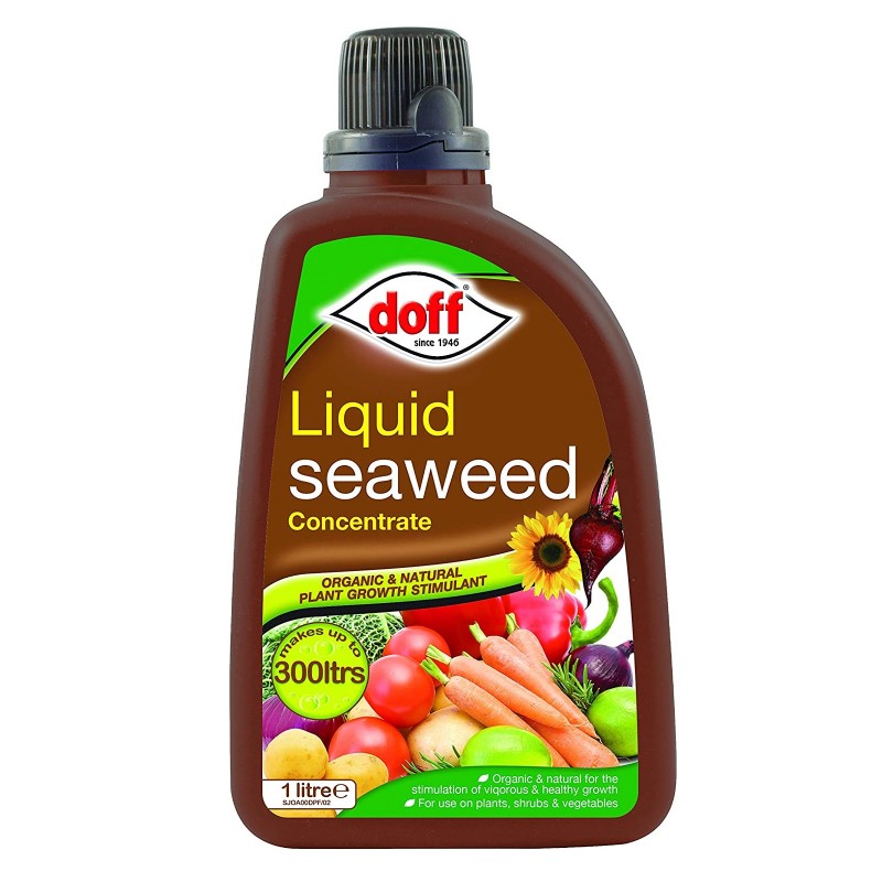 Doff Garden Seaweed Plant Feed All Purpose Liquid Fertiliser 1 Litre Wholesale ???? Doff Garden Seaweed Plant Feed All Purpose Liquid Fertiliser 1 Litre ✨ -Everbuild shop unnamed file 1804