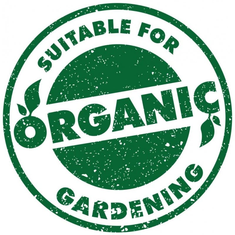 Doff Garden Seaweed Plant Feed All Purpose Liquid Fertiliser 1 Litre Wholesale ???? Doff Garden Seaweed Plant Feed All Purpose Liquid Fertiliser 1 Litre ✨ -Everbuild shop unnamed file 1805