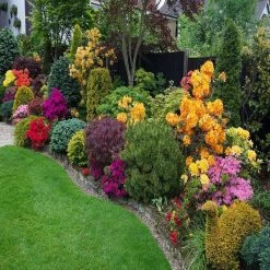 Wholesale 🔔 Doff Garden Seaweed Plant Feed All Purpose Liquid Fertiliser 1 Litre ✨ -Everbuild shop unnamed file 1806