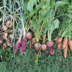 Wholesale ???? Doff Garden Seaweed Plant Feed All Purpose Liquid Fertiliser 1 Litre ✨ 7 Wholesale ???? Doff Garden Seaweed Plant Feed All Purpose Liquid Fertiliser 1 Litre ✨ -Everbuild shop unnamed file 1811