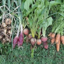 Wholesale 🔔 Doff Garden Seaweed Plant Feed All Purpose Liquid Fertiliser 1 Litre ✨ -Everbuild shop unnamed file 1811