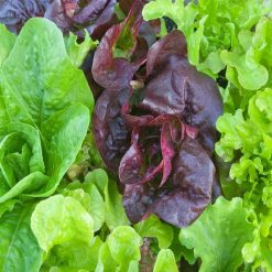 Brand new ???? Doff Green Fingers Organic Multi-Purpose Concentrated Plant Feed 900ml F-JC-900-DGF ⭐ -Everbuild shop unnamed file 1818