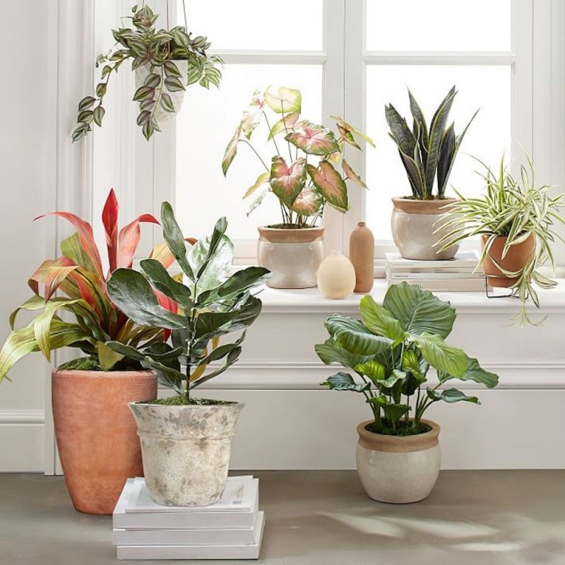 Doff House Plant Concentrated Liquid Feed 180ml FYE180DOF Flash Sale ✨ Doff House Plant Concentrated Liquid Feed 180ml FYE180DOF ???? -Everbuild shop unnamed file 1859