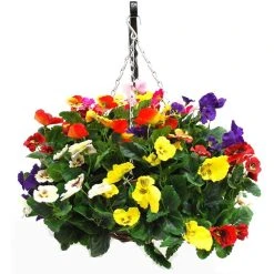 Buy 🔔 Doff Multi-Purpose Plant Food Flower Vegetable Feed 1 Litre FJPA00DOF02 🌟 -Everbuild shop unnamed file 1872