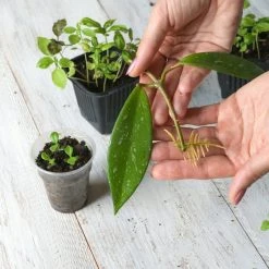 Everbuild shop -Everbuild shop unnamed file 1877