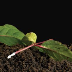 Outlet ???? Doff Natural Plant Root Rooting Powder 75g FKE075DFF ⭐ 2 Outlet ???? Doff Natural Plant Root Rooting Powder 75g FKE075DFF ⭐ -Everbuild shop unnamed file 1878