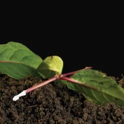 Outlet 😉 Doff Natural Plant Root Rooting Powder 75g FKE075DFF ⭐ -Everbuild shop unnamed file 1878