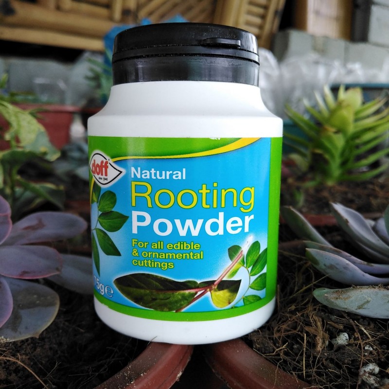 Doff Natural Plant Root Rooting Powder 75g FKE075DFF Outlet ???? Doff Natural Plant Root Rooting Powder 75g FKE075DFF ⭐ -Everbuild shop unnamed file 1882