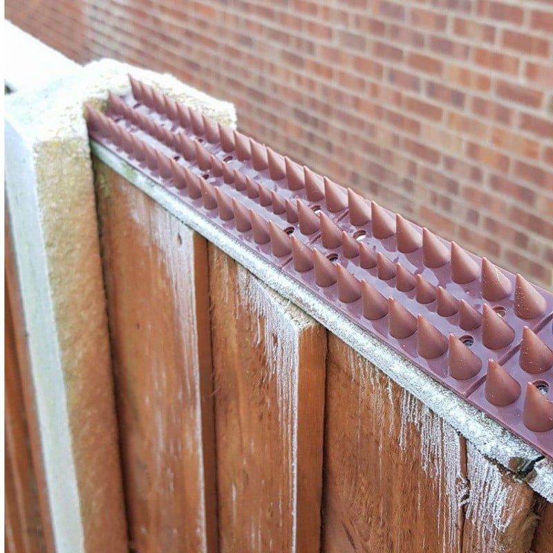Amtech Pest & Security Intruder Prickle Spikes Fence Wall Deterrent Brown S1606 Best Sale ???? Am-Tech Amtech Pest & Security Intruder Prickle Spikes Fence Wall Deterrent Brown S1606 ???? -Everbuild shop unnamed file 193
