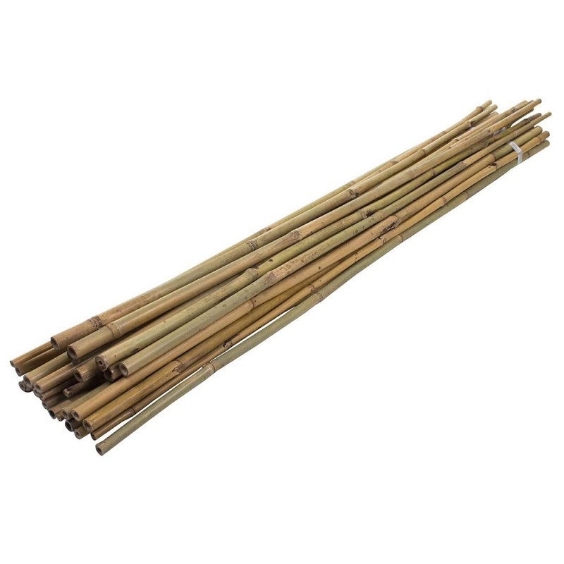 Green Blade Garden and House Plant Natural Bamboo Support 600mm x10 PS210 Hot Sale ❤️ Green Blade Garden And House Plant Natural Bamboo Support 600mm X10 PS210 ???? -Everbuild shop unnamed file 1949