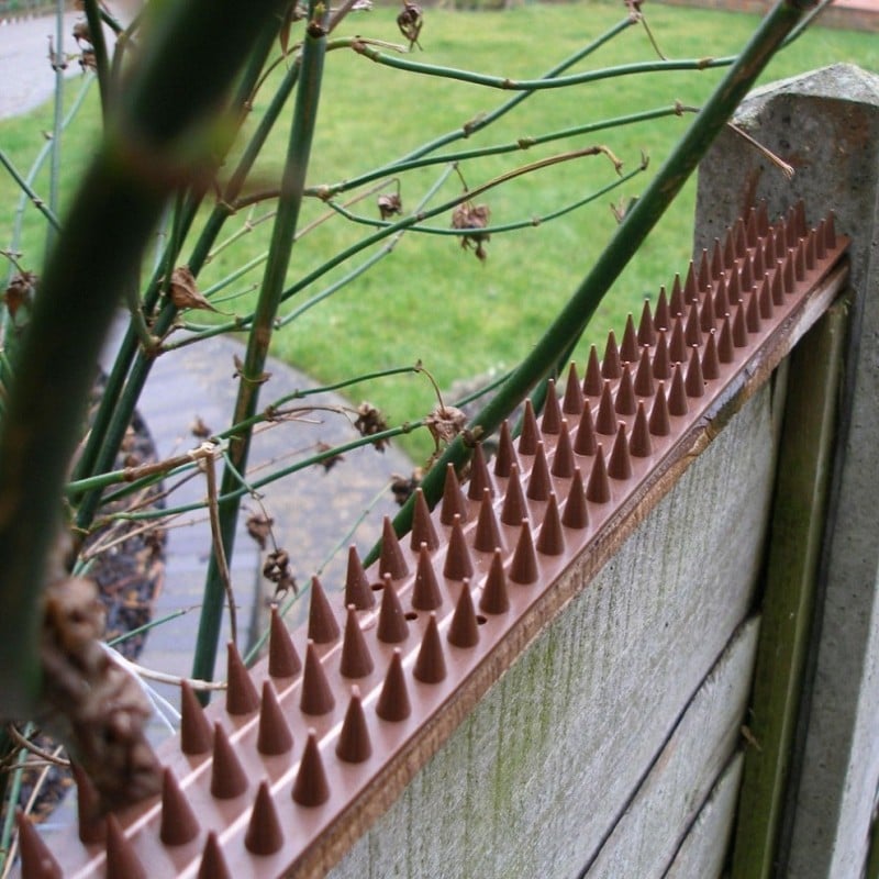 Amtech Pest & Security Intruder Prickle Spikes Fence Wall Deterrent Brown S1606 Best Sale ???? Am-Tech Amtech Pest & Security Intruder Prickle Spikes Fence Wall Deterrent Brown S1606 ???? -Everbuild shop unnamed file 195
