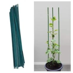Best Sale ❤️ Silverline Tools Silverline Green Bamboo Garden Plant Support 600mm 25pk 496102 🌟