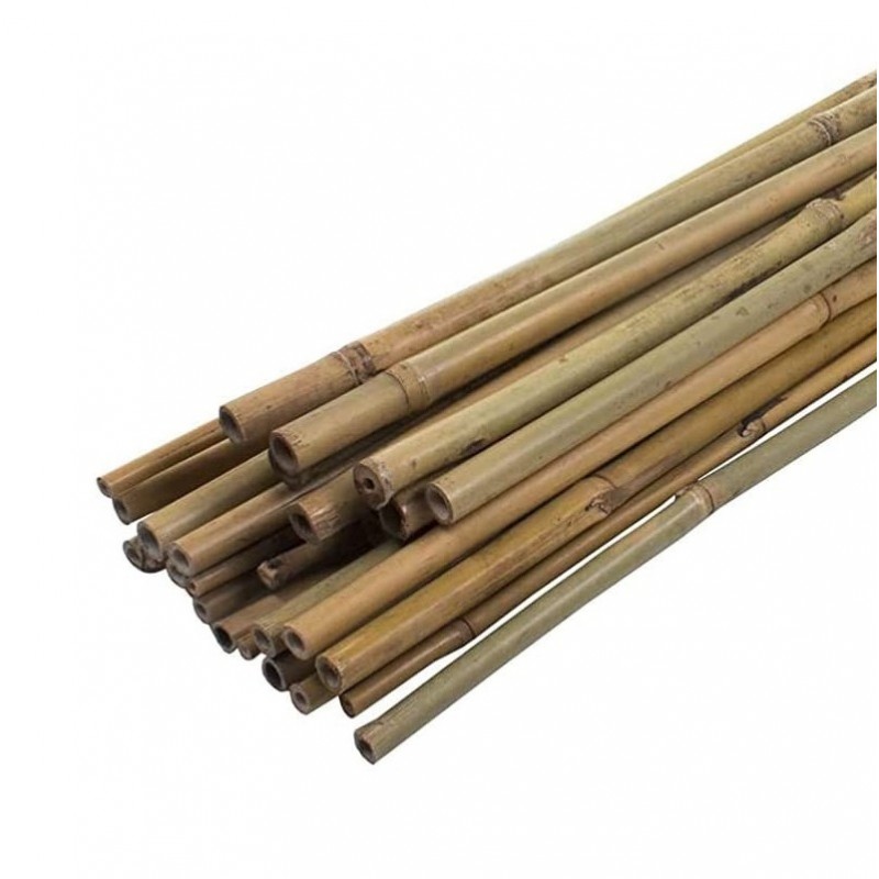 Green Blade Garden and House Plant Natural Bamboo Support 900mm x10 PS211 Promo ???? Green Blade Garden And House Plant Natural Bamboo Support 900mm X10 PS211 ???? -Everbuild shop unnamed file 1971