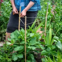 Promo 🤩 Green Blade Garden And House Plant Natural Bamboo Support 900mm X10 PS211 👏 -Everbuild shop unnamed file 1975