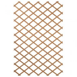 Everbuild shop -Everbuild shop unnamed file 1979