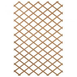 Everbuild shop -Everbuild shop unnamed file 1979