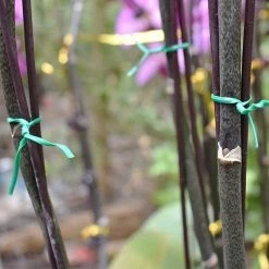 Budget 🔥 Marksman Garden Plant Support Green Tie Wire 70036C Triple Pack ⭐ 16 Budget 🔥 Marksman Garden Plant Support Green Tie Wire 70036C Triple Pack ⭐ -Everbuild shop unnamed file 2009