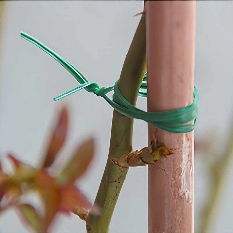 Budget 🔥 Marksman Garden Plant Support Green Tie Wire 70036C Triple Pack ⭐ 8 Budget 🔥 Marksman Garden Plant Support Green Tie Wire 70036C Triple Pack ⭐ - Image 8