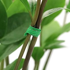 Budget ???? Marksman Garden Plant Support Green Tie Wire 70036C Triple Pack ⭐ 8 Budget ???? Marksman Garden Plant Support Green Tie Wire 70036C Triple Pack ⭐ -Everbuild shop unnamed file 2011