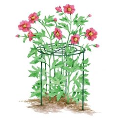 Brand new ???? Silverline Tools Silverline Garden Plant Grow Through Support Frame Ring 972045 ???? 4 Brand new ???? Silverline Tools Silverline Garden Plant Grow Through Support Frame Ring 972045 ???? -Everbuild shop unnamed file 2035