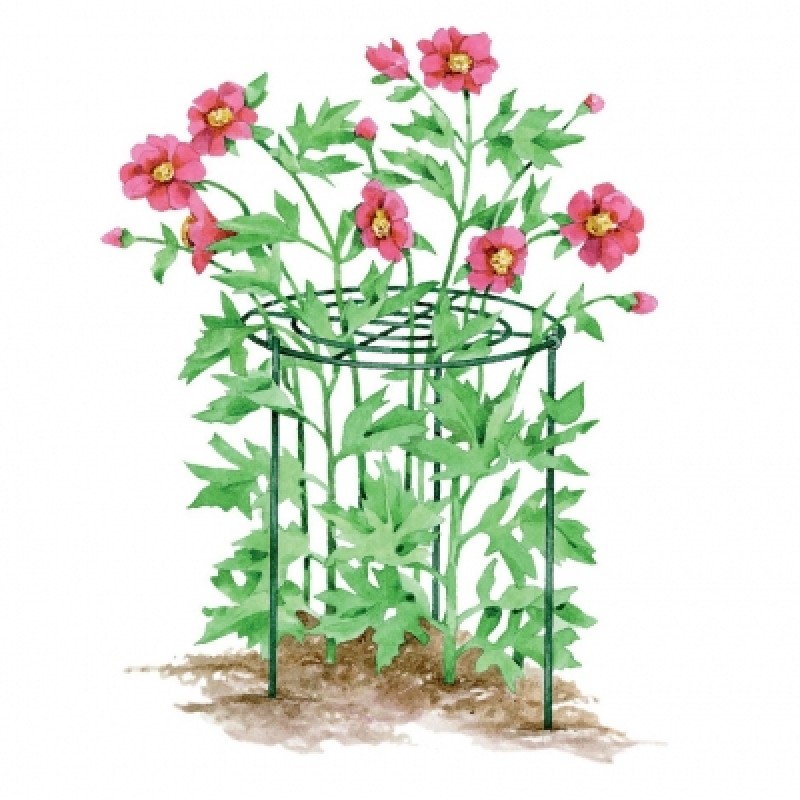 Silverline Garden Plant Grow Through Support Frame Ring 972045 Brand new ???? Silverline Tools Silverline Garden Plant Grow Through Support Frame Ring 972045 ???? -Everbuild shop unnamed file 2035