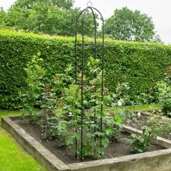 Brand new 😉 Kingfisher Garden Obelisk Rose Or Climbing Plant Metal Support Frame 1.9m WGO ⭐ 11 Brand new 😉 Kingfisher Garden Obelisk Rose Or Climbing Plant Metal Support Frame 1.9m WGO ⭐ -Everbuild shop unnamed file 2047