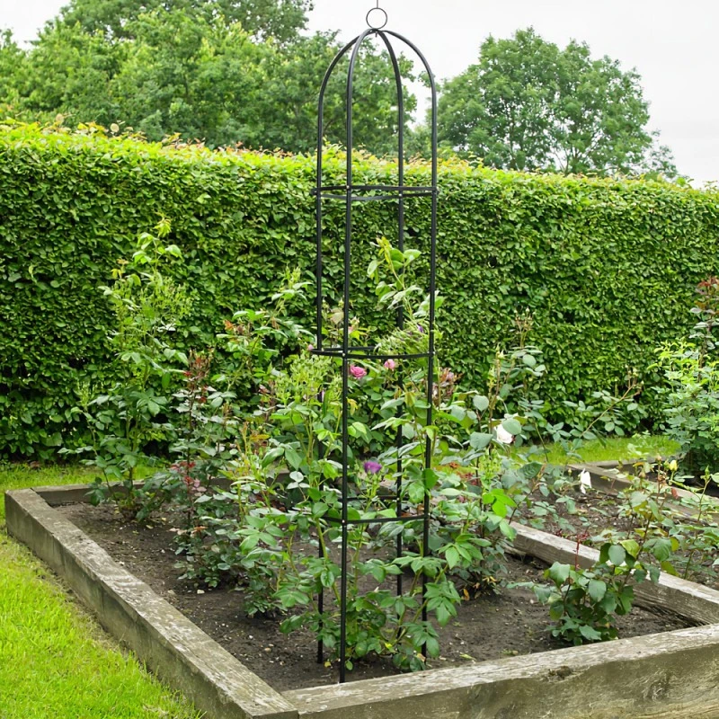 Brand new 😉 Kingfisher Garden Obelisk Rose Or Climbing Plant Metal Support Frame 1.9m WGO ⭐ 4 Brand new 😉 Kingfisher Garden Obelisk Rose Or Climbing Plant Metal Support Frame 1.9m WGO ⭐ - Image 4