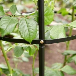 Brand new 😉 Kingfisher Garden Obelisk Rose Or Climbing Plant Metal Support Frame 1.9m WGO ⭐ 12 Brand new 😉 Kingfisher Garden Obelisk Rose Or Climbing Plant Metal Support Frame 1.9m WGO ⭐ -Everbuild shop unnamed file 2048