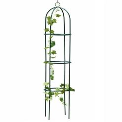 Buy ???? Marksman Metal Garden Obelisk Rose Or Climbing Plant Support Frame 1.9m 70348c ❤️ 2 Buy ???? Marksman Metal Garden Obelisk Rose Or Climbing Plant Support Frame 1.9m 70348c ❤️ -Everbuild shop unnamed file 2062