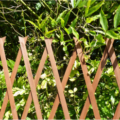 Top 10 ⌛ Kingfisher Garden Plant Expanding Wooden Trellis TRELIS3 6ft X 3ft ❤️ 4 Top 10 ⌛ Kingfisher Garden Plant Expanding Wooden Trellis TRELIS3 6ft X 3ft ❤️ -Everbuild shop unnamed file 209