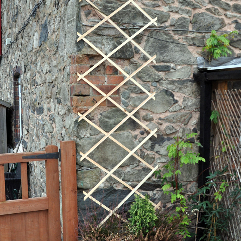 Kingfisher Garden Plant Expanding Wooden Trellis TRELLIS1 6ft x 1ft Wholesale β Kingfisher Garden Plant Expanding Wooden Trellis TRELLIS1 6ft X 1ft ???? -Everbuild shop unnamed file 213