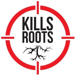 Wholesale ???? Doff Advanced Weed Root Killer Weedkiller Lance Spray 3 Litre F-FO-C00-DOF-04 ⌛ -Everbuild shop unnamed file 2457